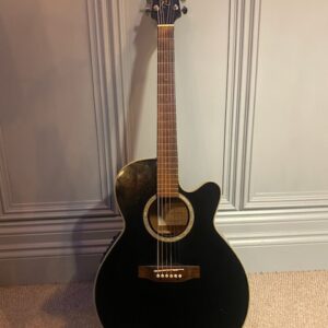 Takamine EG541SC (with hard case)